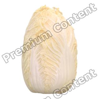 Chinese Cabbage 3D Scan Retopo